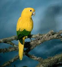 images (3)