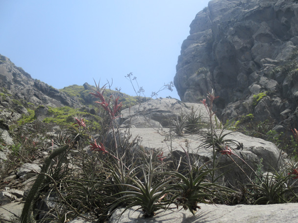 upn_apu_campana_4