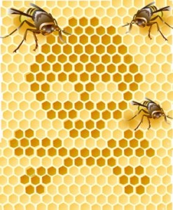 upn_abejas_ peligro