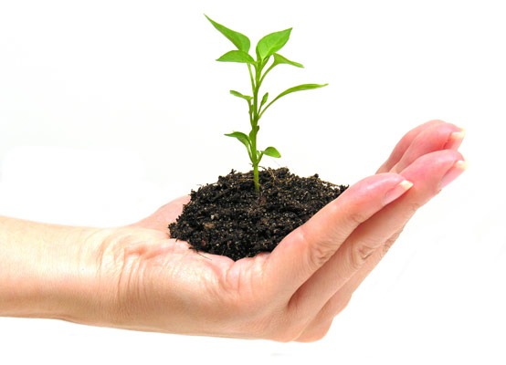 upn_medio_ambiente_cop20