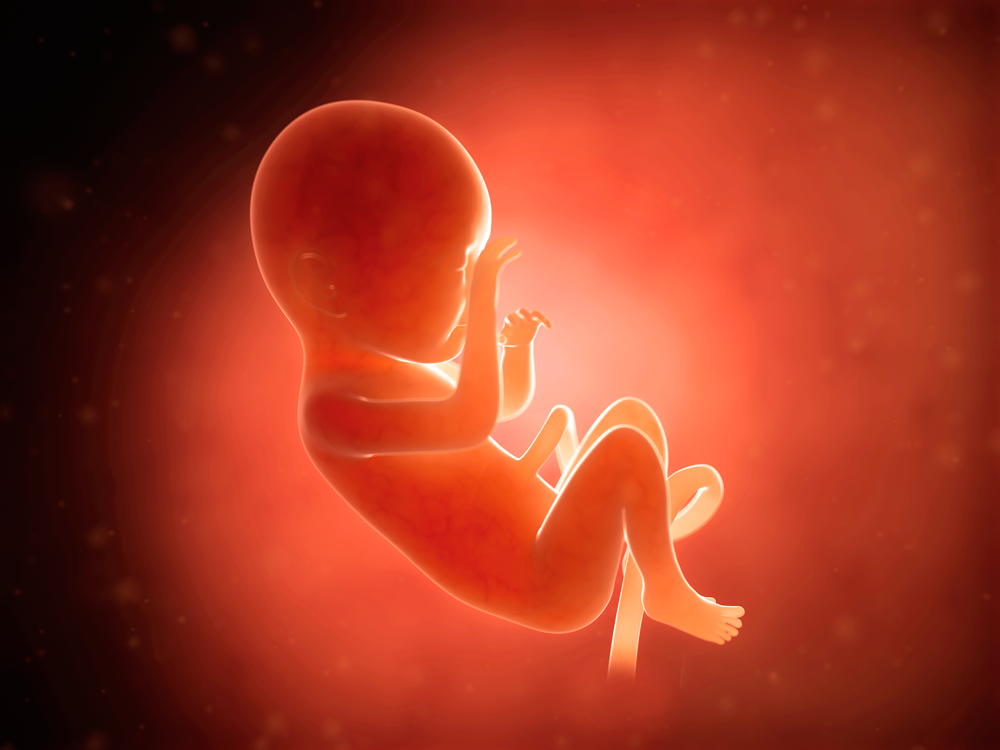 upn_blog_salud_dia_derecho_nacer