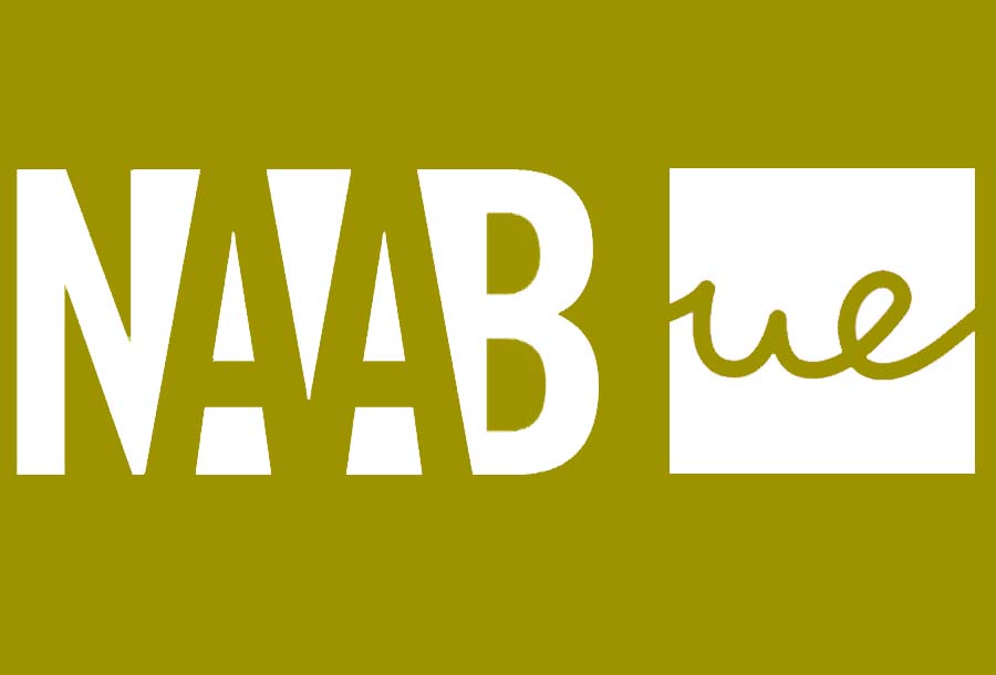 upn_blog_servicios_globales_naab_uem