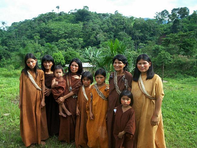 upn_blog_sal_ensay clín_24