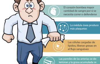 infografia-danos-del-enojo