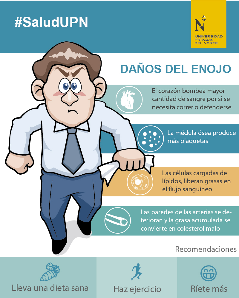 infografia-danos-del-enojo