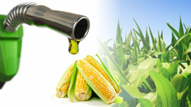 upn_blog_agroindustrial 2_17 ago