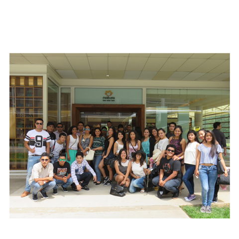 upn_blog_ser glob_brasil_24 nov