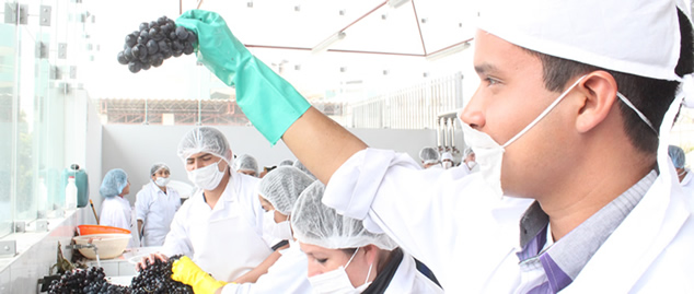 upn_blog_ing_agroindustria_10 feb