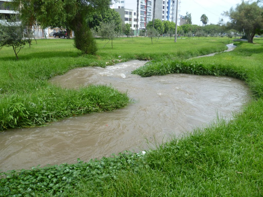 arquitectura día mundial agua