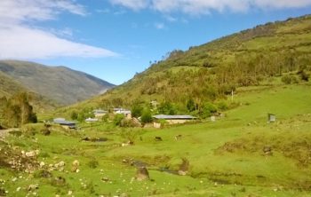 cita andes 1