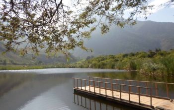 discreto encanto de la serranía negocios