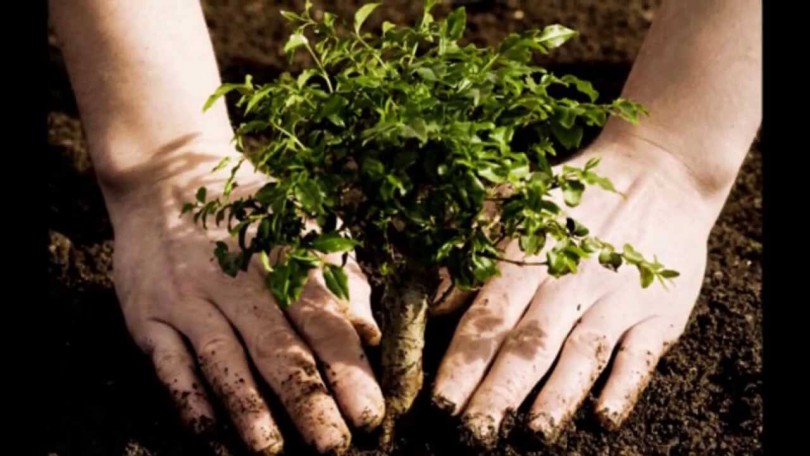 ingeniería ambiental working adult