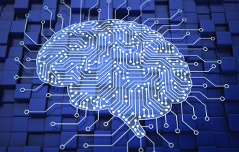 cerebro humano humanidades