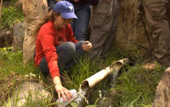 ingeniería ambiental perfil profesional working adult
