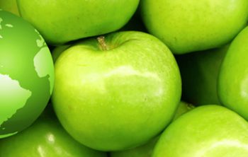 green marketing negocios