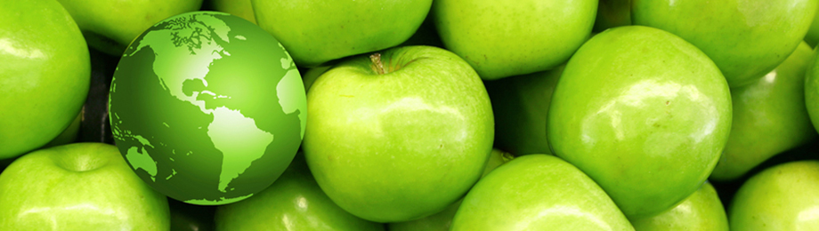 green marketing negocios