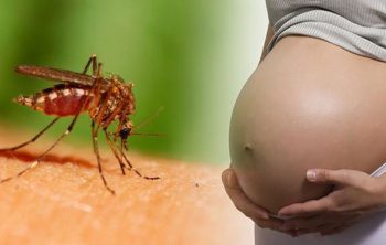 zika salud