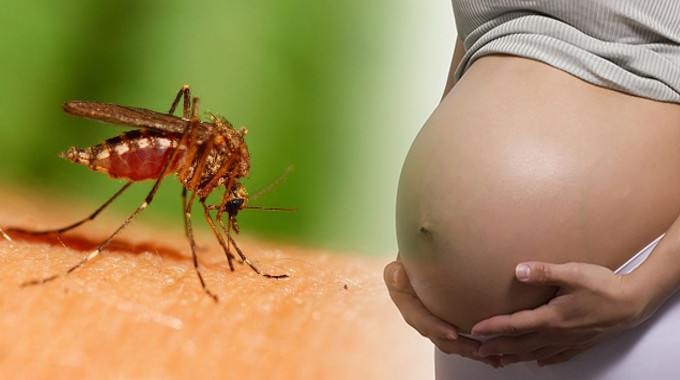 zika salud