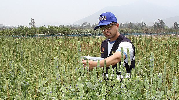 programa agrojoven ingeniería