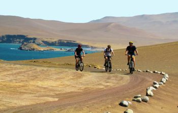paracas negocios