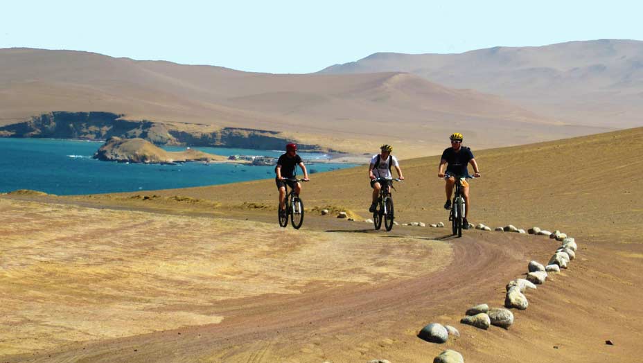paracas negocios