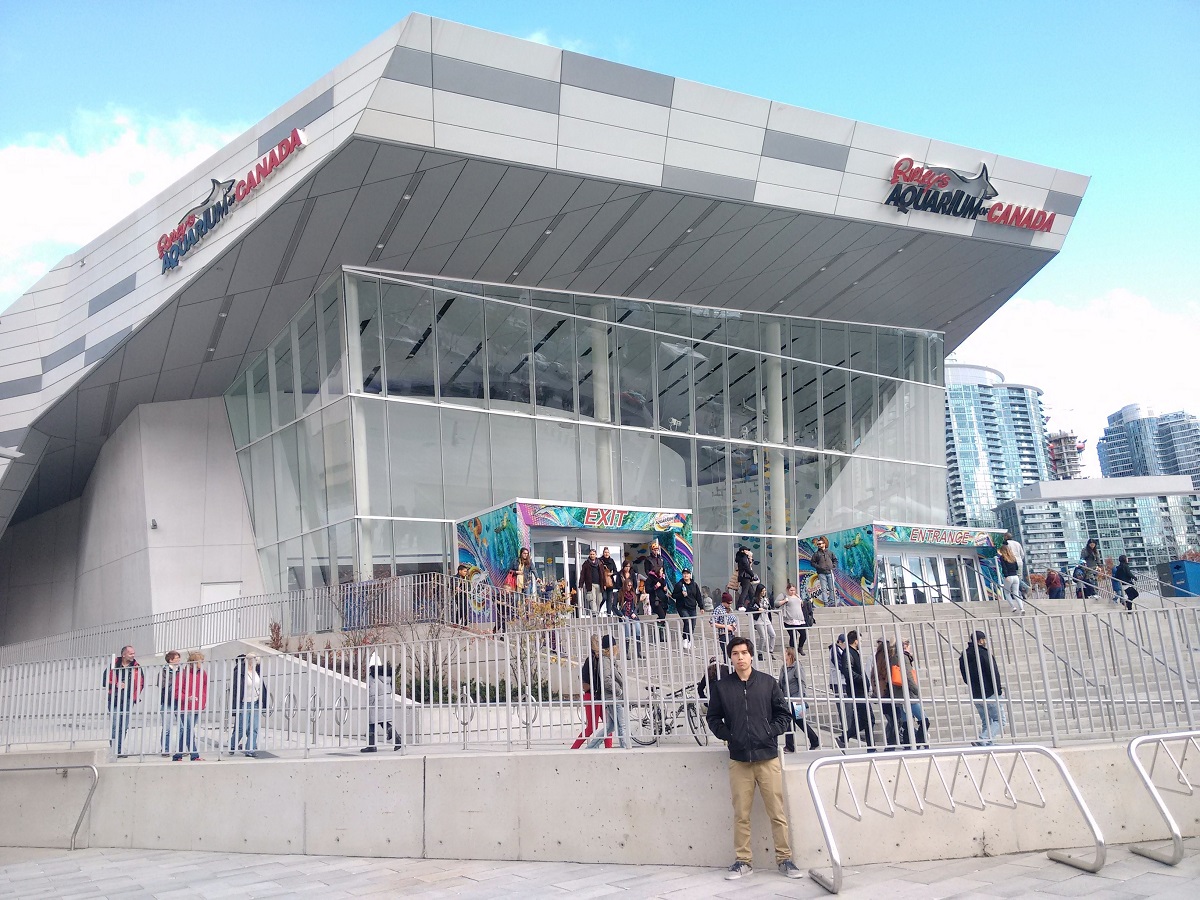 sistema educativo canadá servicios globales