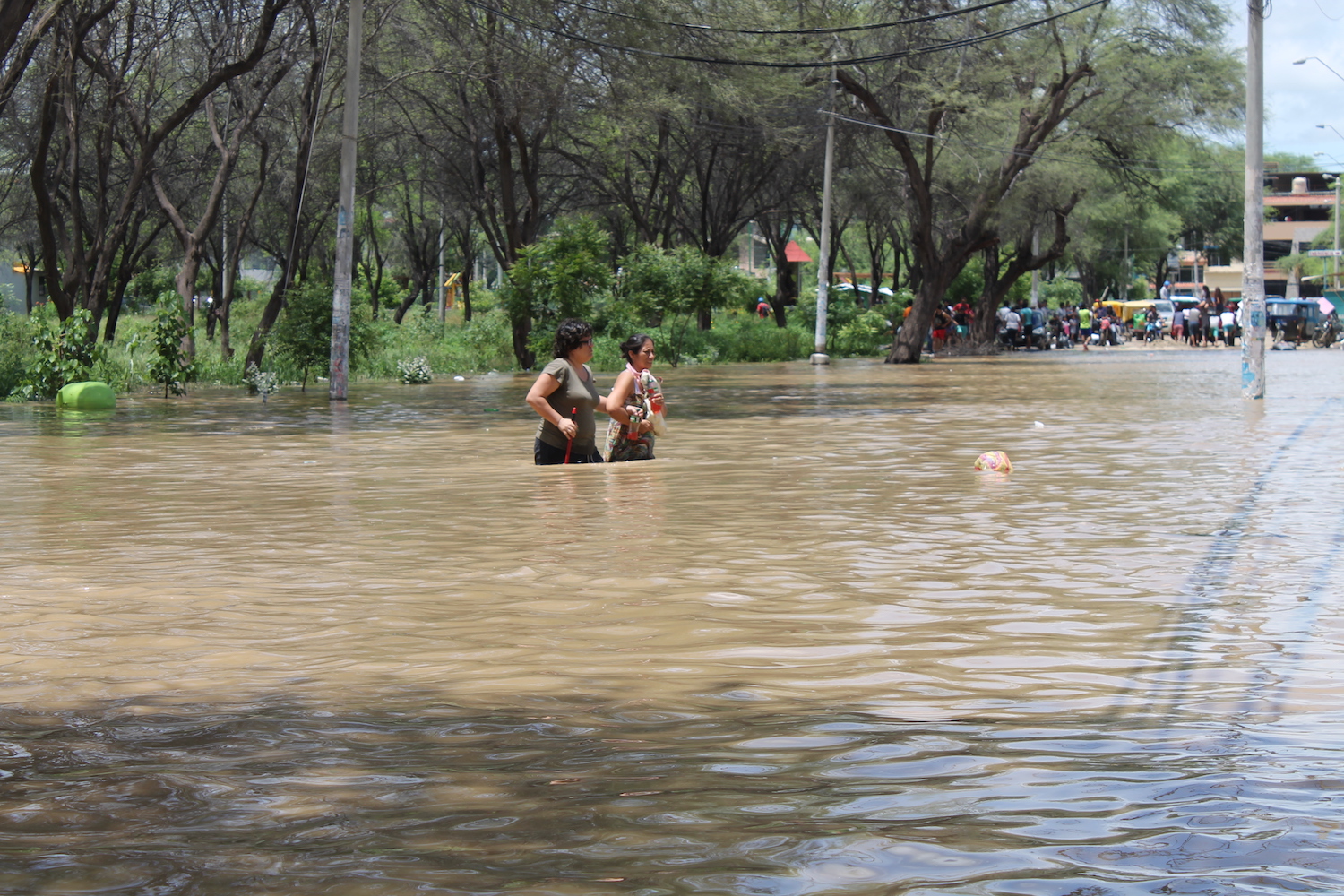 beneficio costo niño costero ingeniería