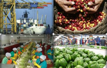 consorcios de exportación: una opción eficaz de asociación comercial