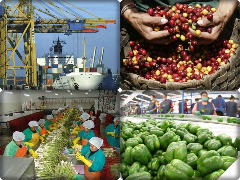 consorcios de exportación: una opción eficaz de asociación comercial