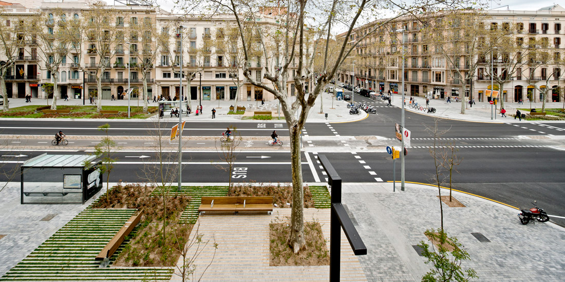 cuatro carreras que contribuyen en la prevención de desastres