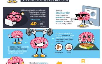 memoria: ¿cómo entrenarla para el estudio cuando eres adulto?