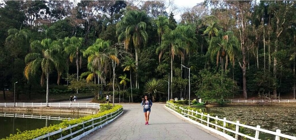 "este viaje me ha enseñado a dirigir mis alas"