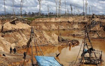 ¿qué carrera estudiar si te interesa la protección ambiental?