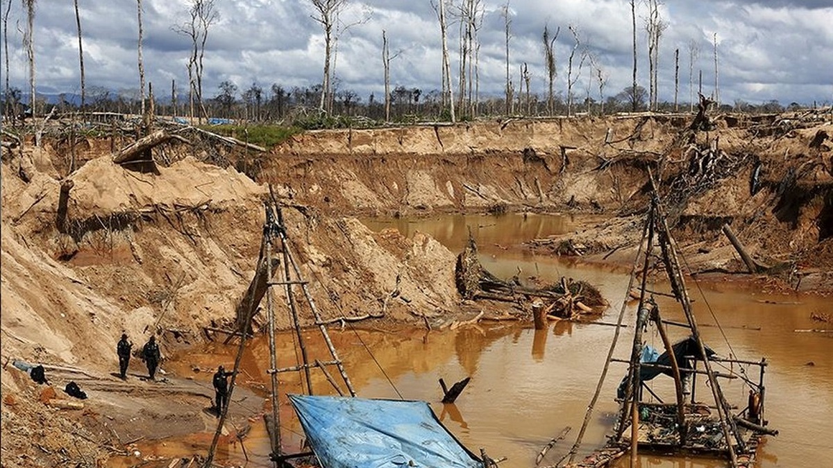 ¿qué carrera estudiar si te interesa la protección ambiental?