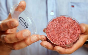 tendencias: la alimentación hacia el año 2030