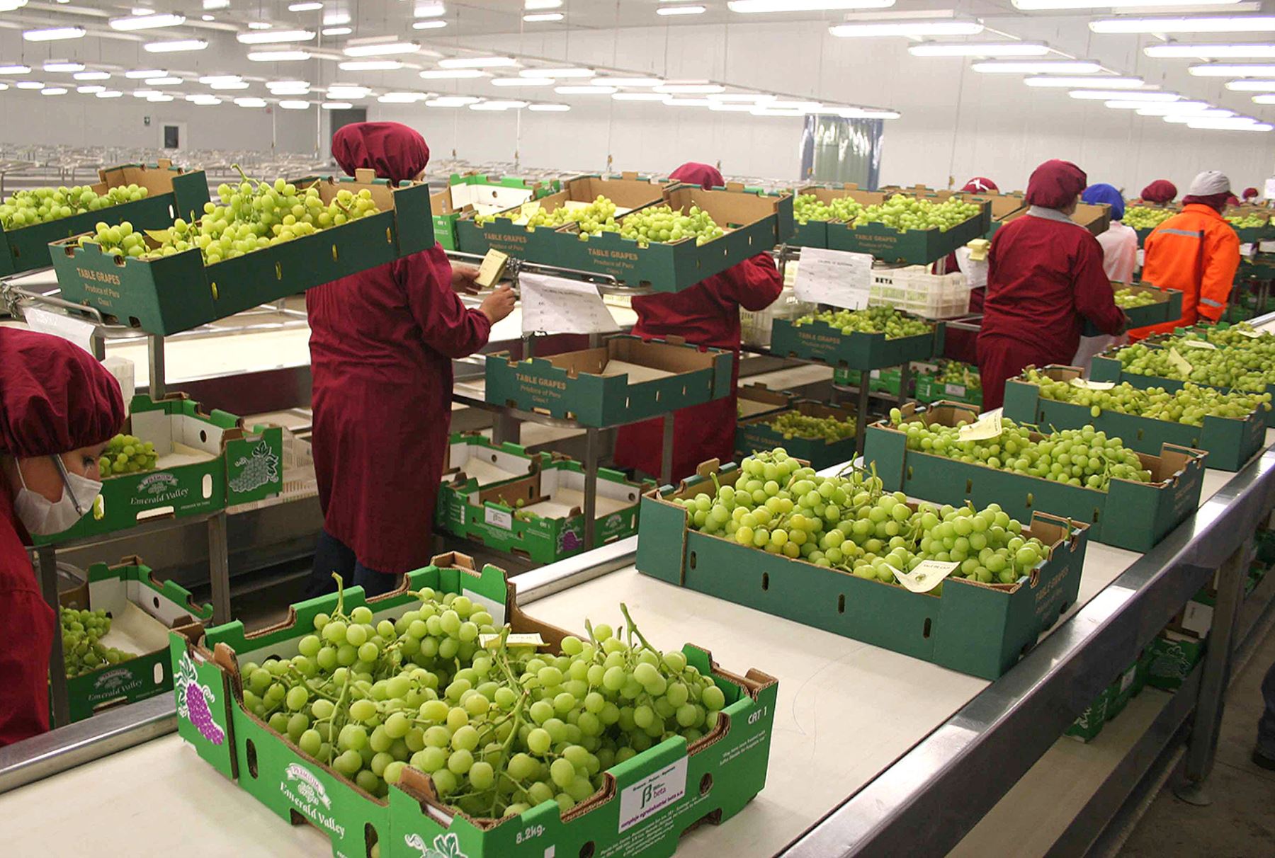 agroexportaciones y la posibilidad de convertirnos en despensa del mundo