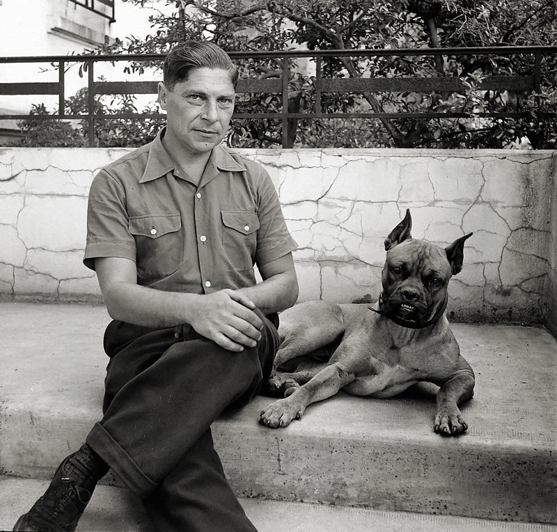 Arthur Koestler: al pie del abismo