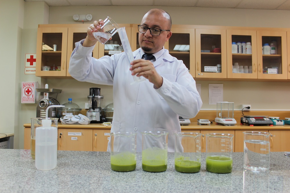 Propiedades antimicrobianas de la canela y el ajo