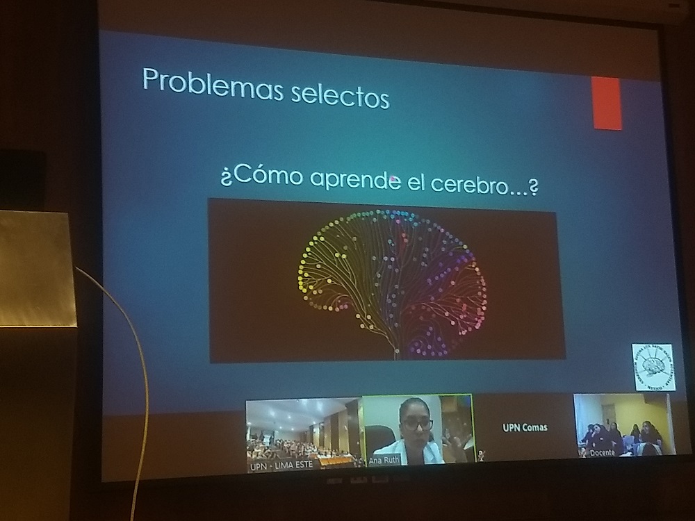 La educación a la luz de las neurociencias