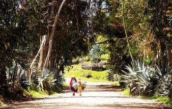 proyecto uniones: nuestra responsabilidad social