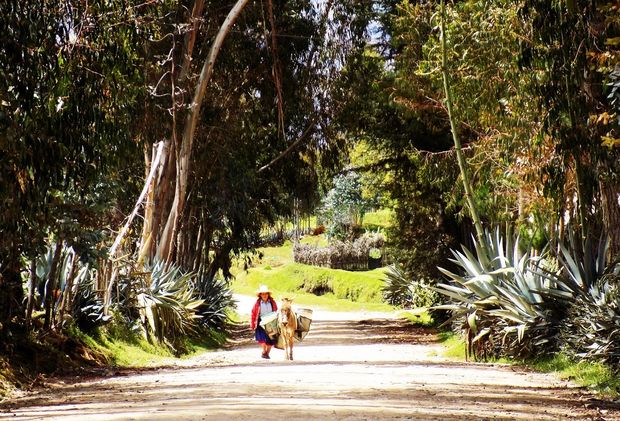 proyecto uniones: nuestra responsabilidad social