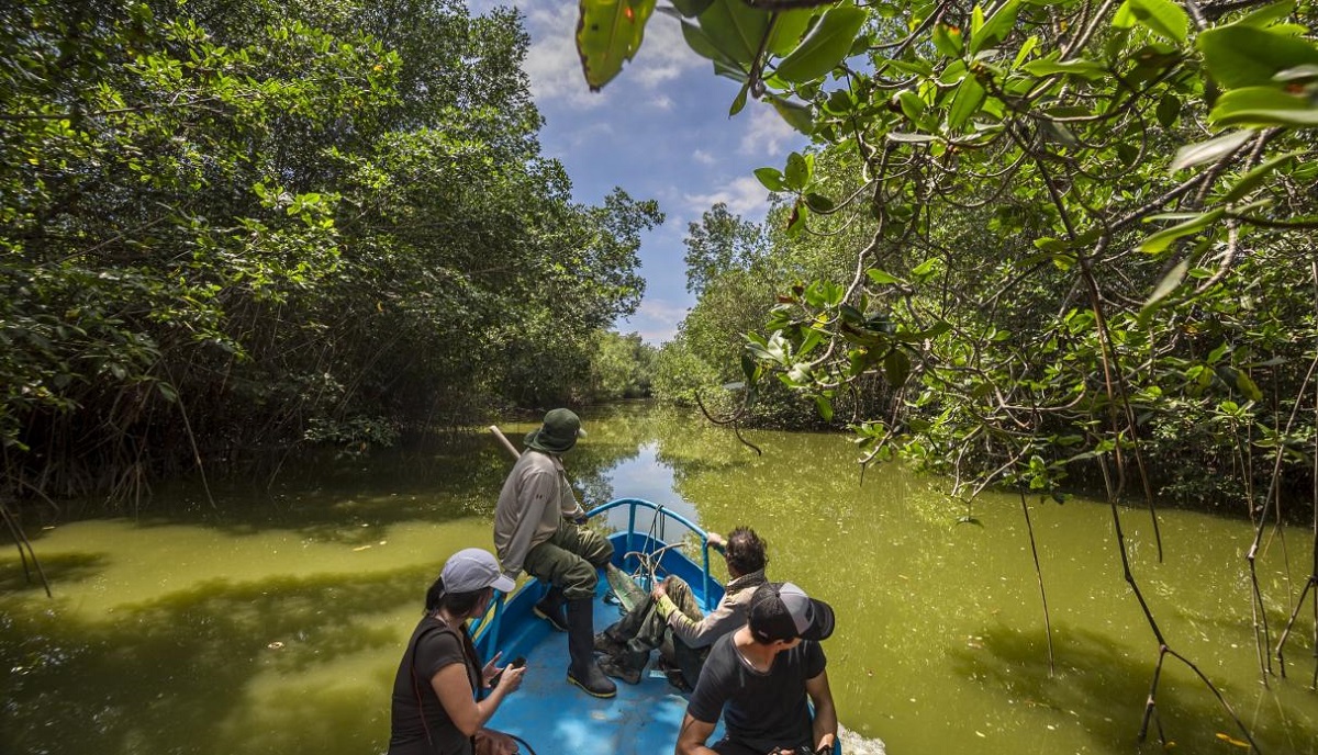 El ecoturismo como herramienta de desarrollo humano sostenible