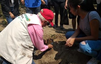 Día Mundial del Medio Ambiente: una experiencia de compromiso y sensibilización