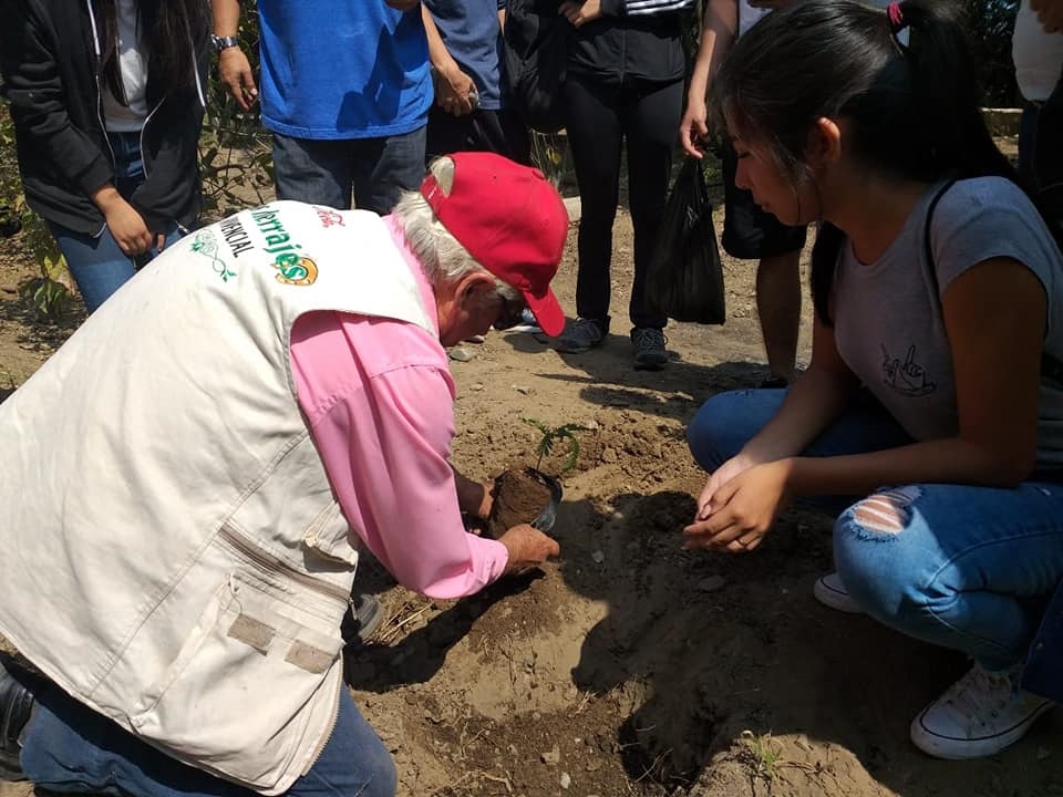 Día Mundial del Medio Ambiente: una experiencia de compromiso y sensibilización