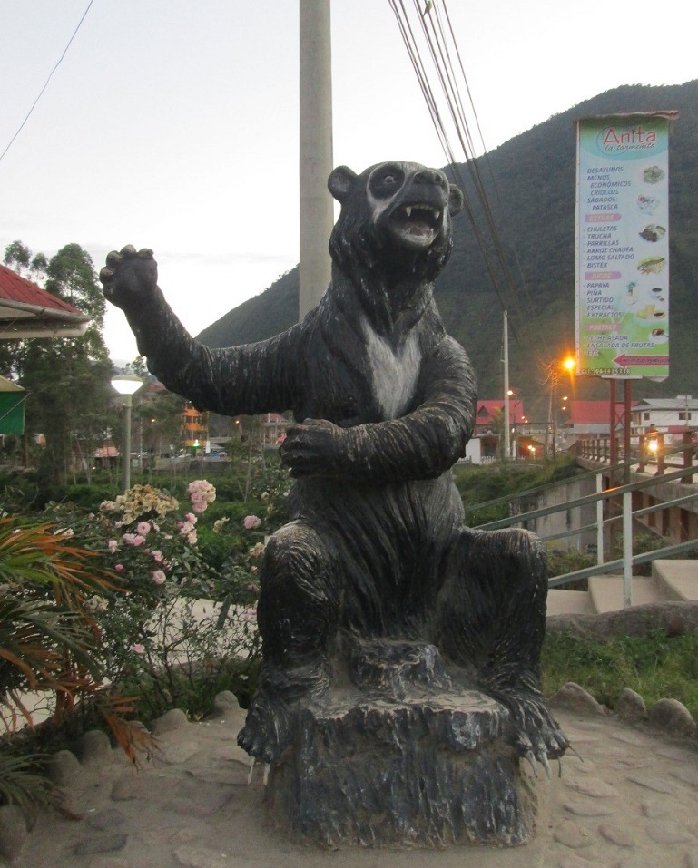 El oso sí tiene quien le escriba