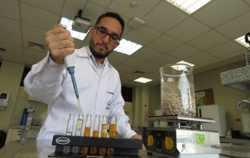 Investigador UPN aplica tecnología de ultrasonido para mejorar procesamiento del tarwi