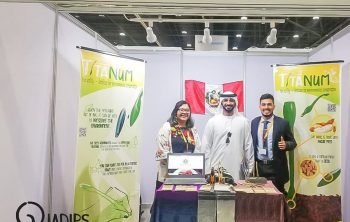 UPN presente en el World Urban Forum 10 organizado por UN-Habitat