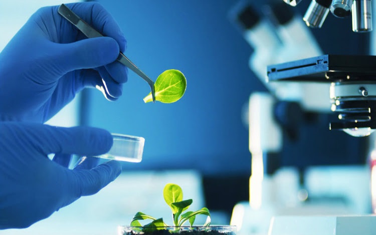 investigación científica