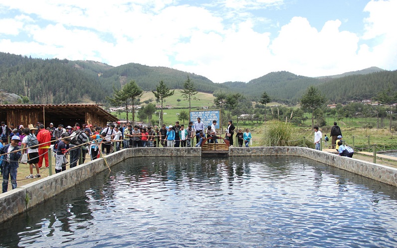 minería