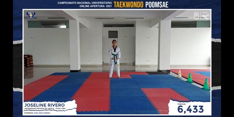 taekwondo